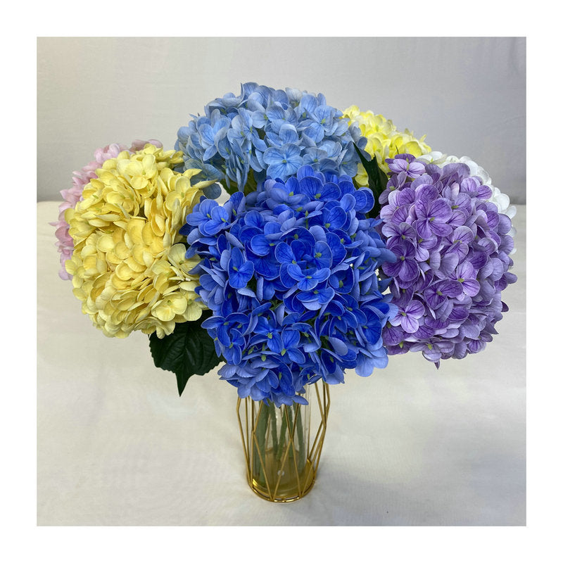 H0003 Hydrangea