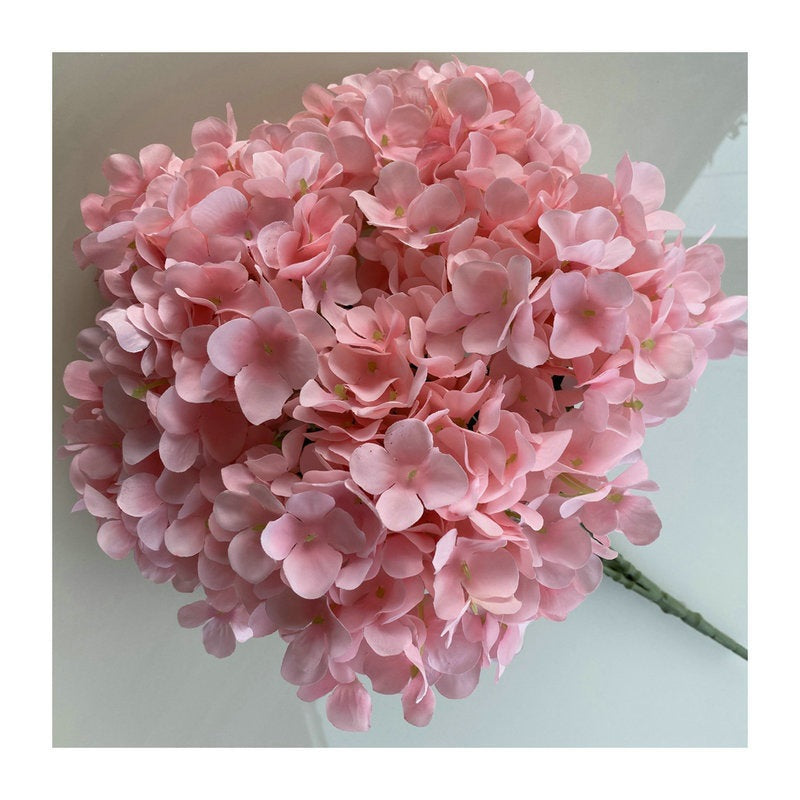 H0006 Hydrangea