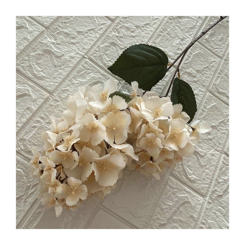 H0008 Hydrangea