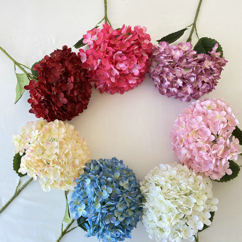 H0012 Hydrangea