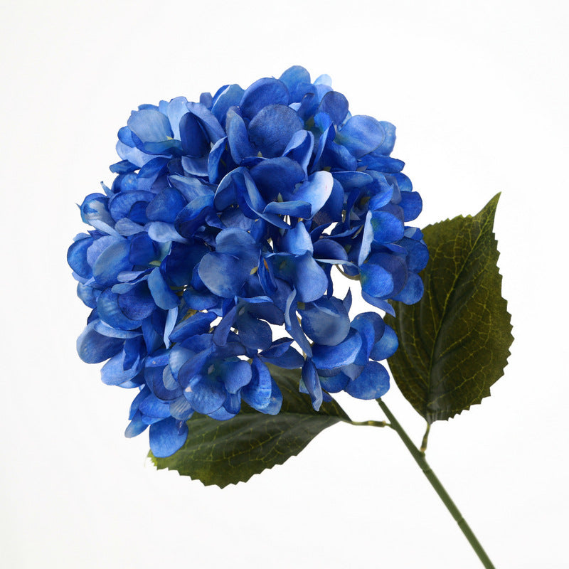 H0040 Hydrangea