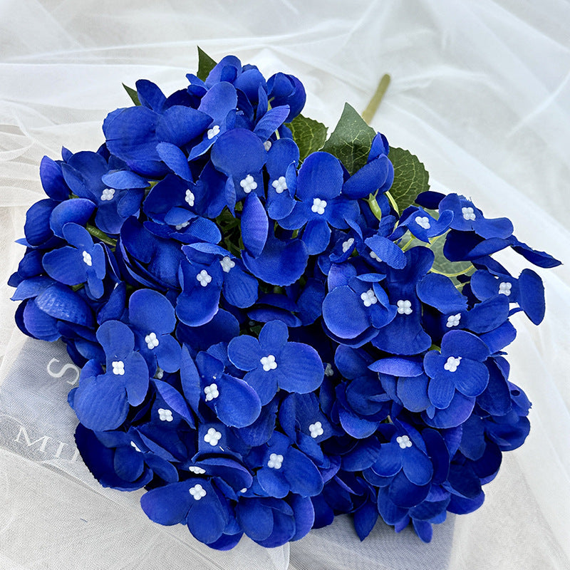 H0007 Hydrangea