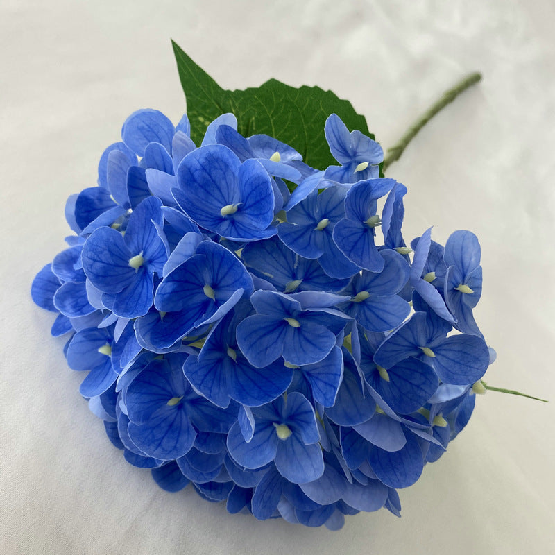 H0021 Hydrangea