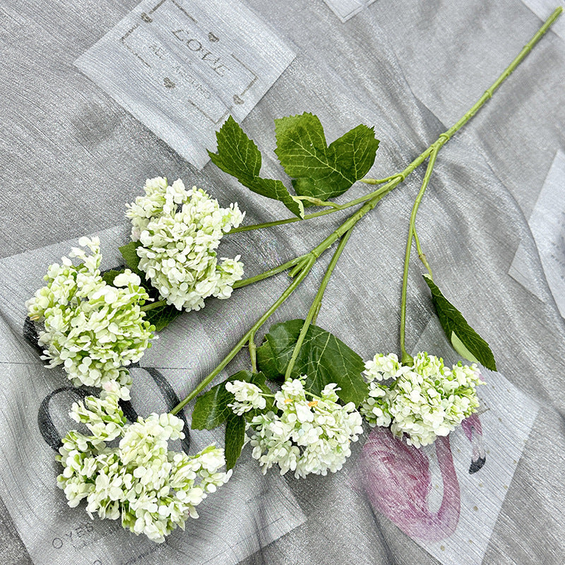 H0005 Hydrangea