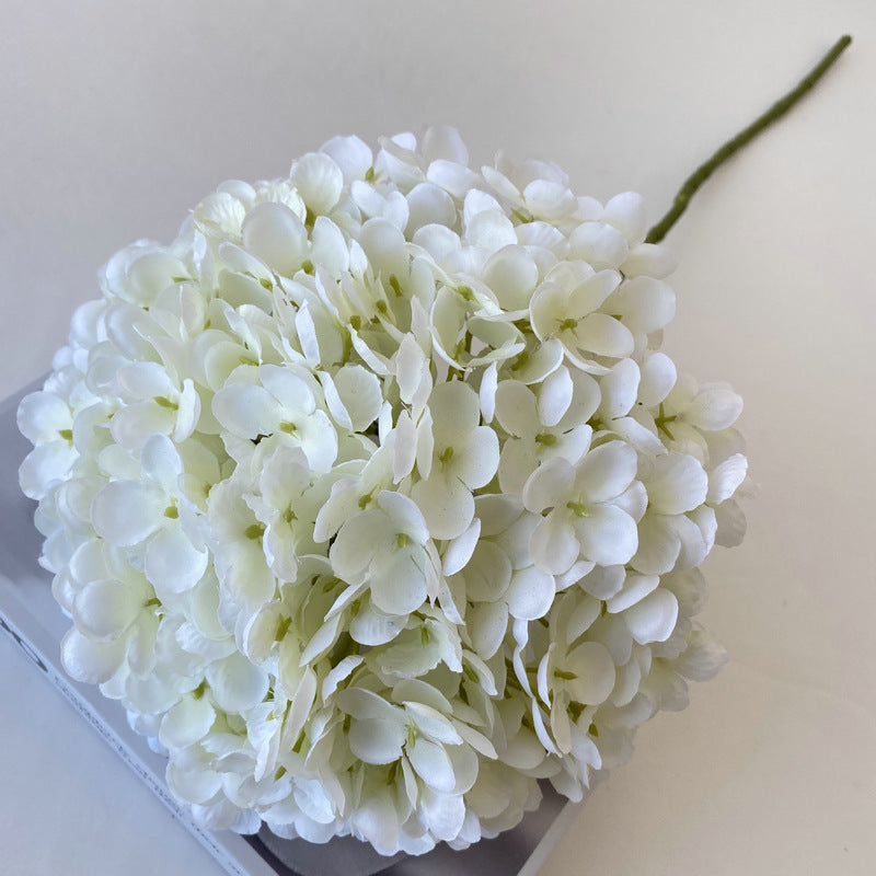 H0012 Hydrangea