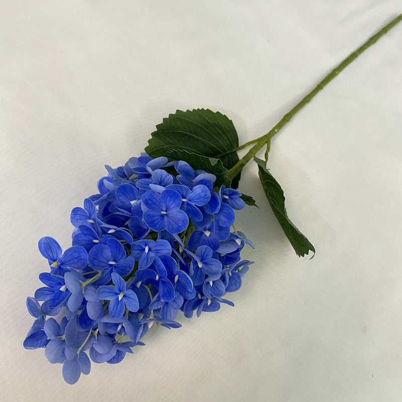 H0042 Hydrangea