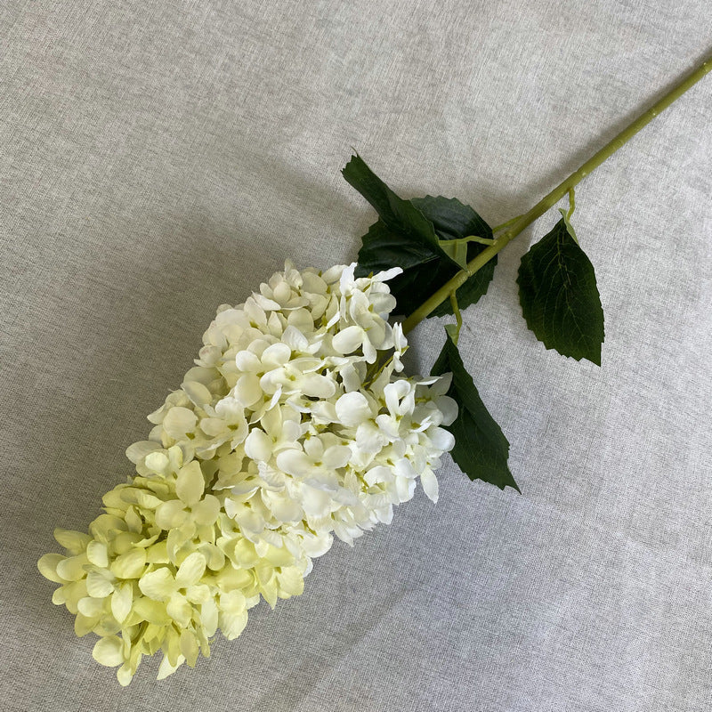 H0009 Hydrangea