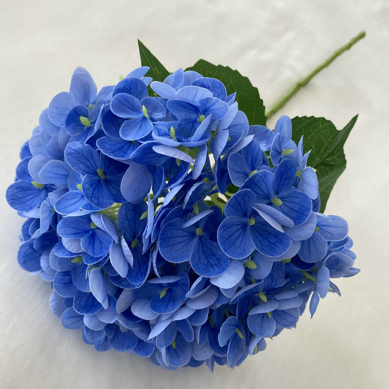 H0003 Hydrangea