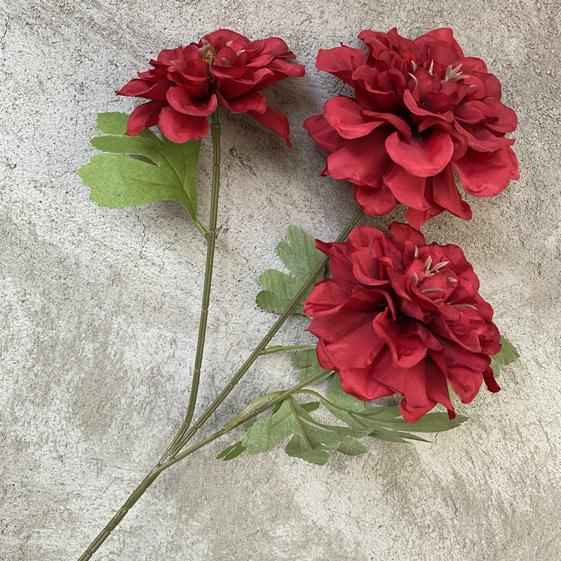 P0019 Three-headed Tianzhu Peony