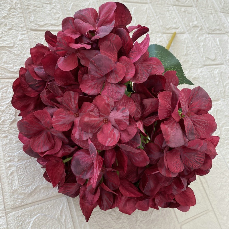 H0010 Hydrangea