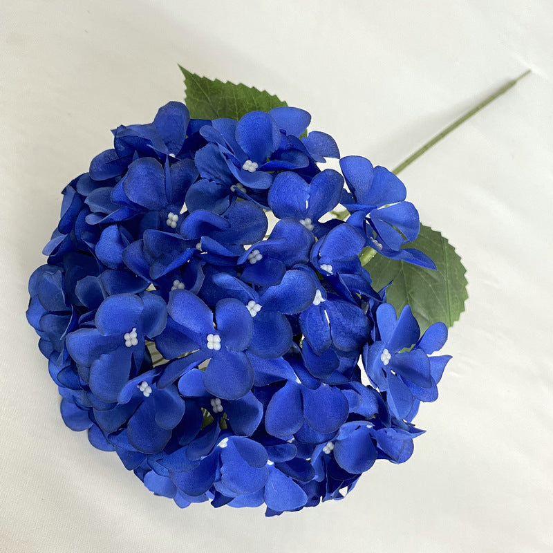 H0001 Hydrangea