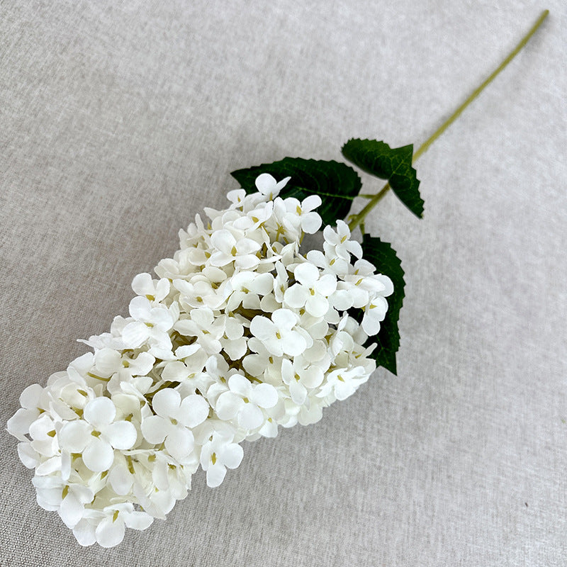 H0032 Hydrangea