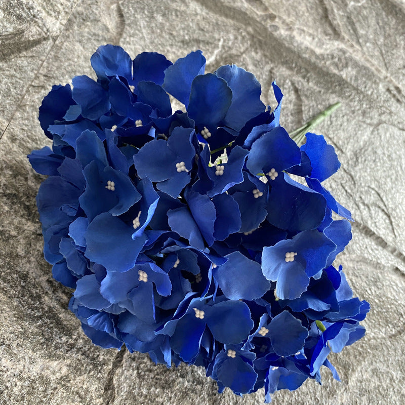 H0002 Hydrangea