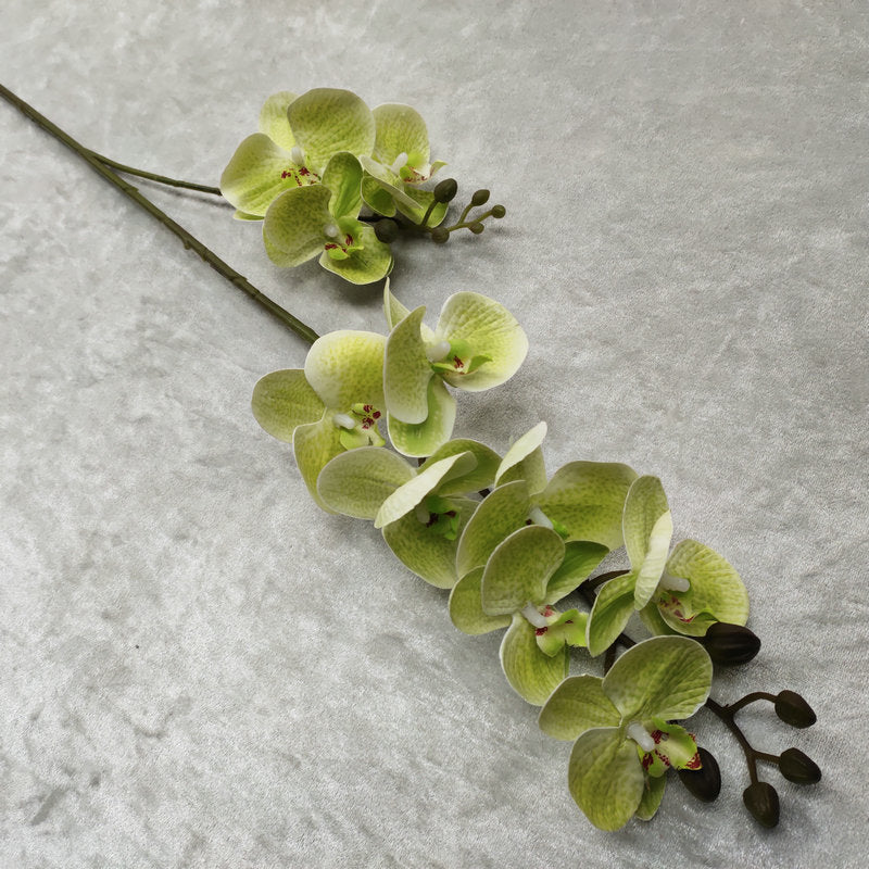 O0018 3D printed phalaenopsis with ten heads and two prongs