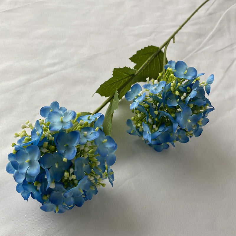 H0017 Hydrangea