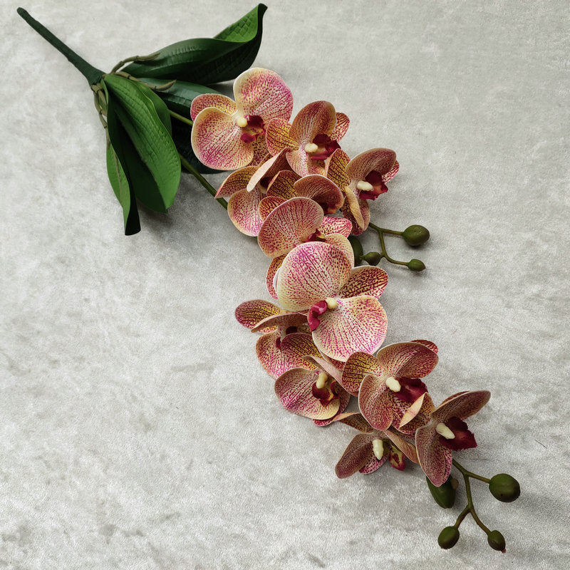 O0016 3D printed double-forked twelve-headed Phalaenopsis with leaves