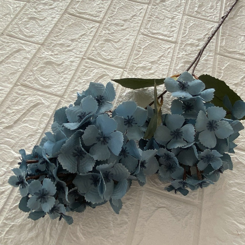 H0008 Hydrangea