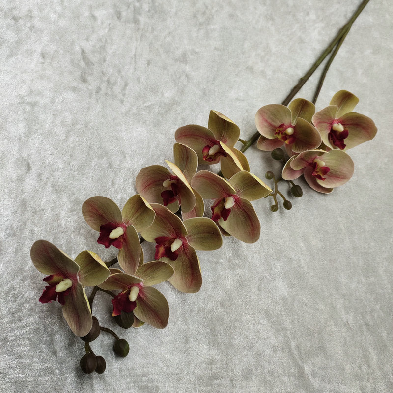 O0018 3D printed phalaenopsis with ten heads and two prongs