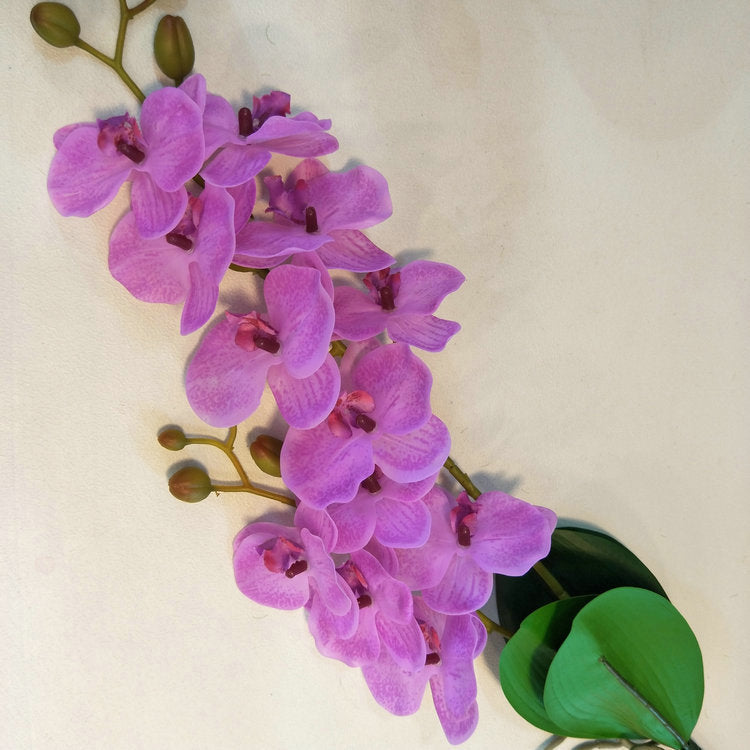 O0012 Film two-pronged simulated small Phalaenopsis with leaves