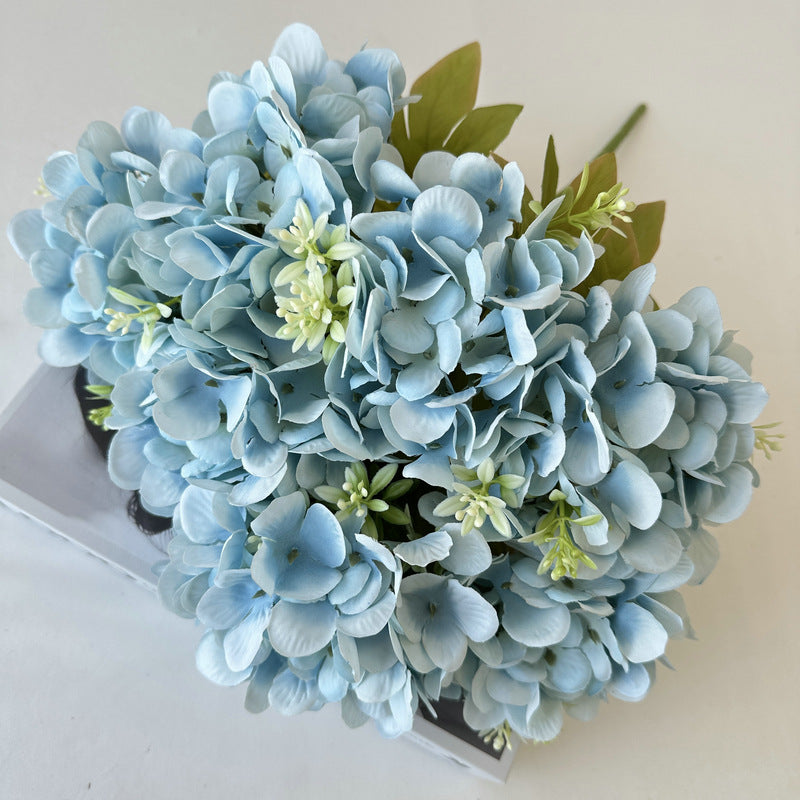 H0004 Hydrangea