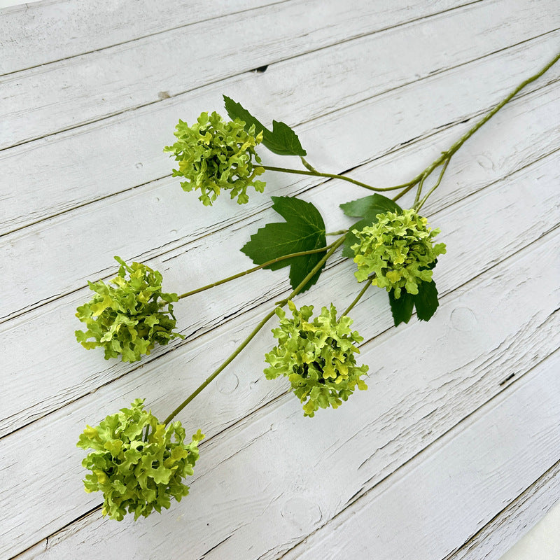 H0014 Hydrangea