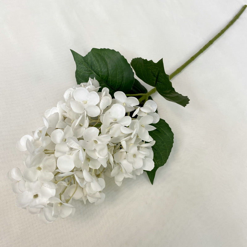 H0042 Hydrangea