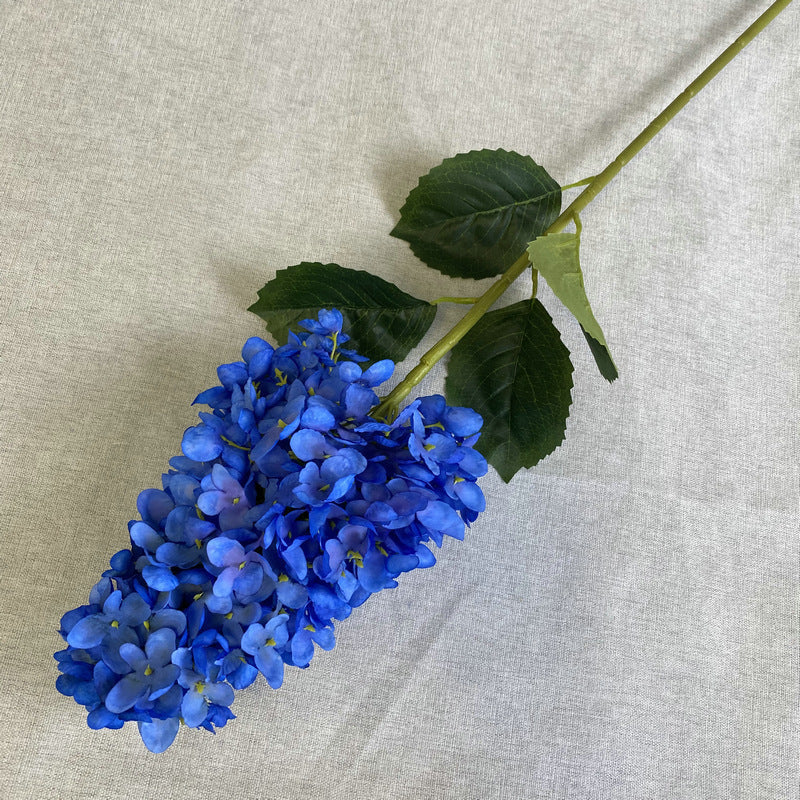 H0009 Hydrangea