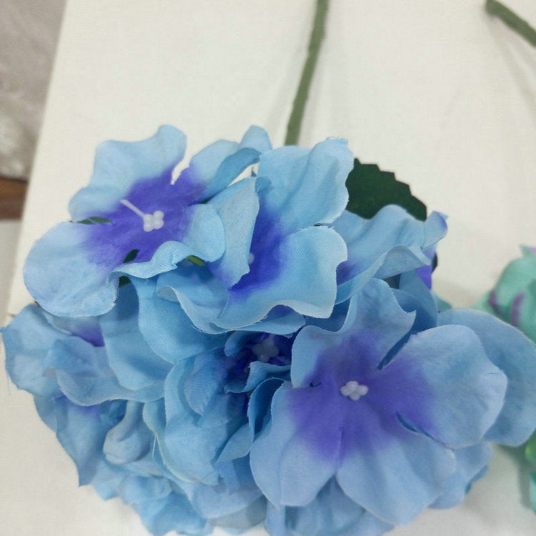 H0028 Hydrangea