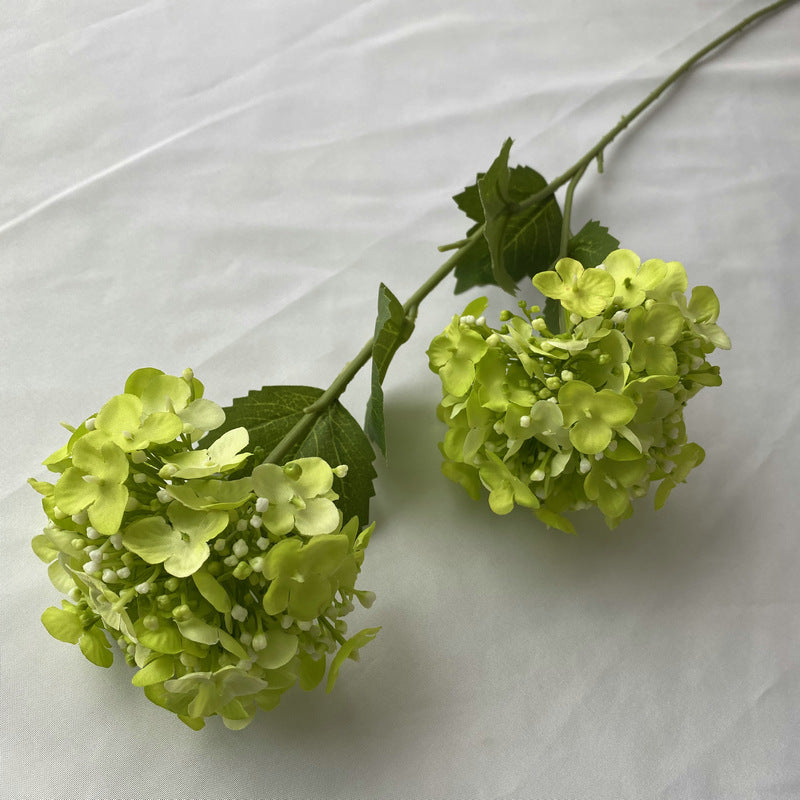 H0017 Hydrangea