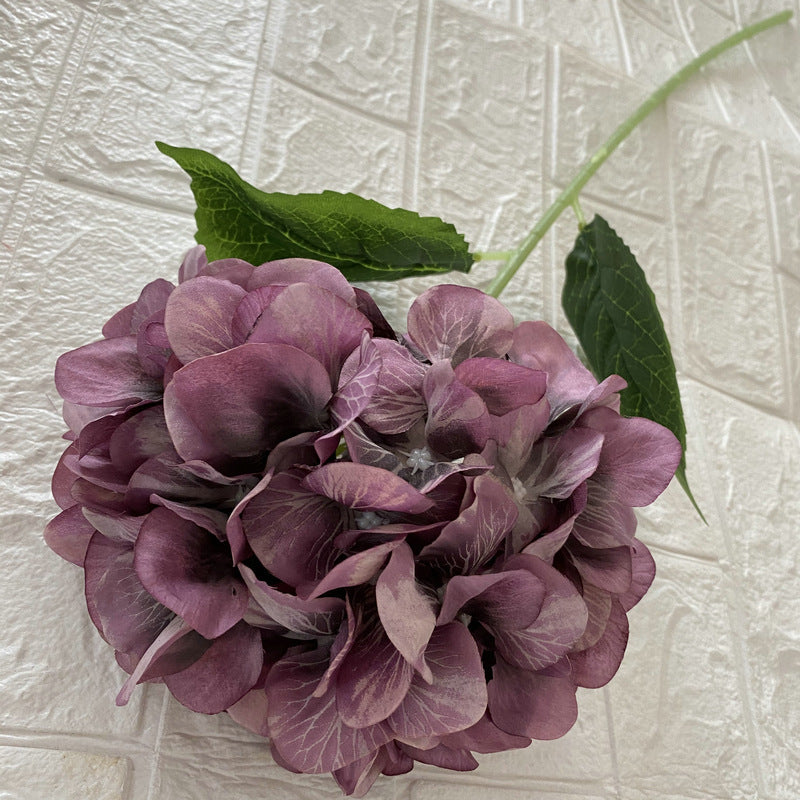 H0026 Hydrangea