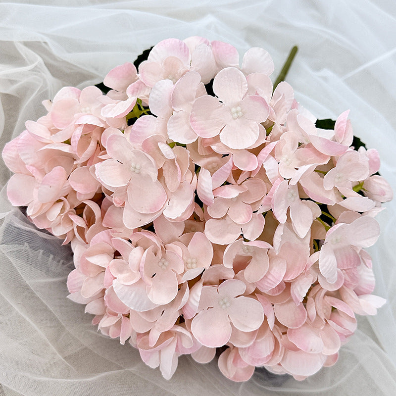 H0007 Hydrangea