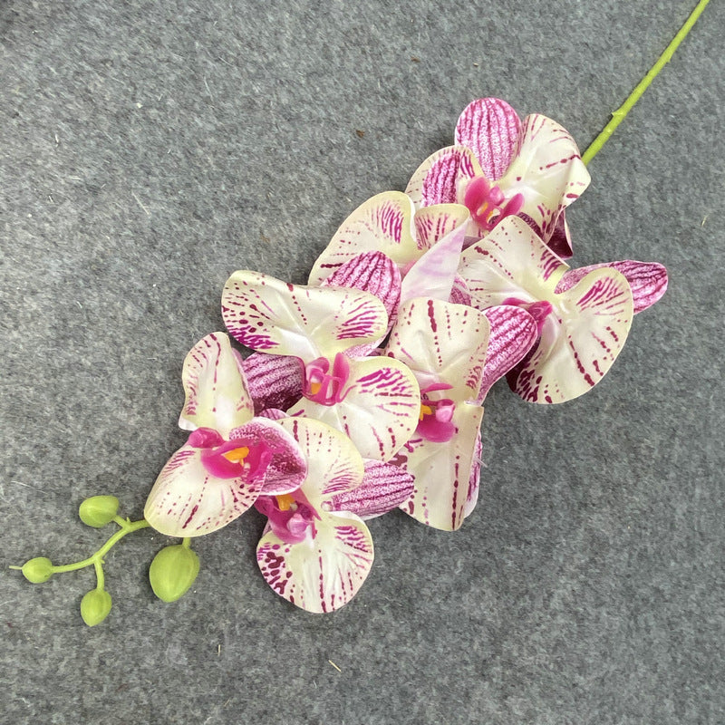 O0017 Single color printed Phalaenopsis