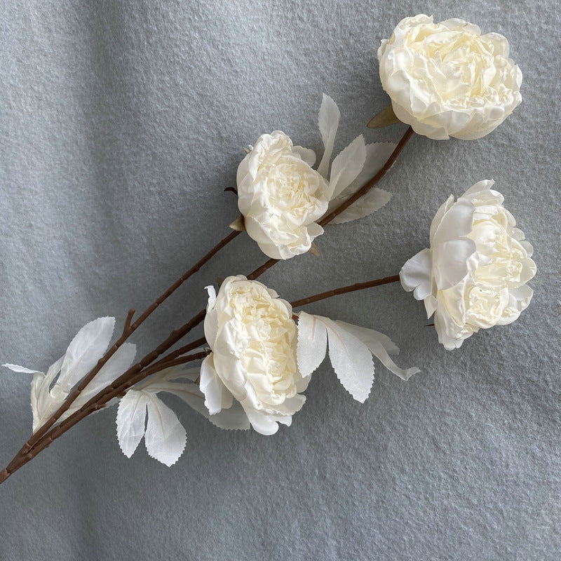 P0037 Four-headed Imperial Peony