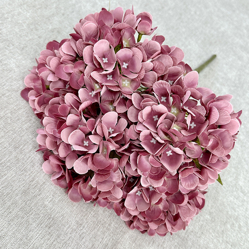 H0034 Hydrangea