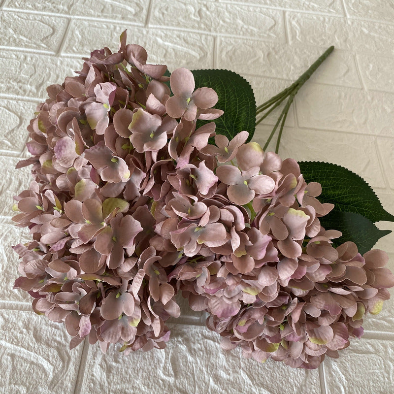 H0027 Hydrangea