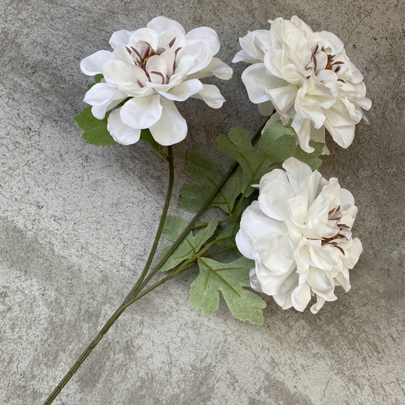 P0019 Three-headed Tianzhu Peony