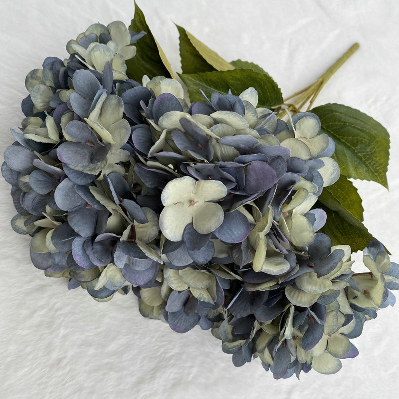 H0025 Hydrangea