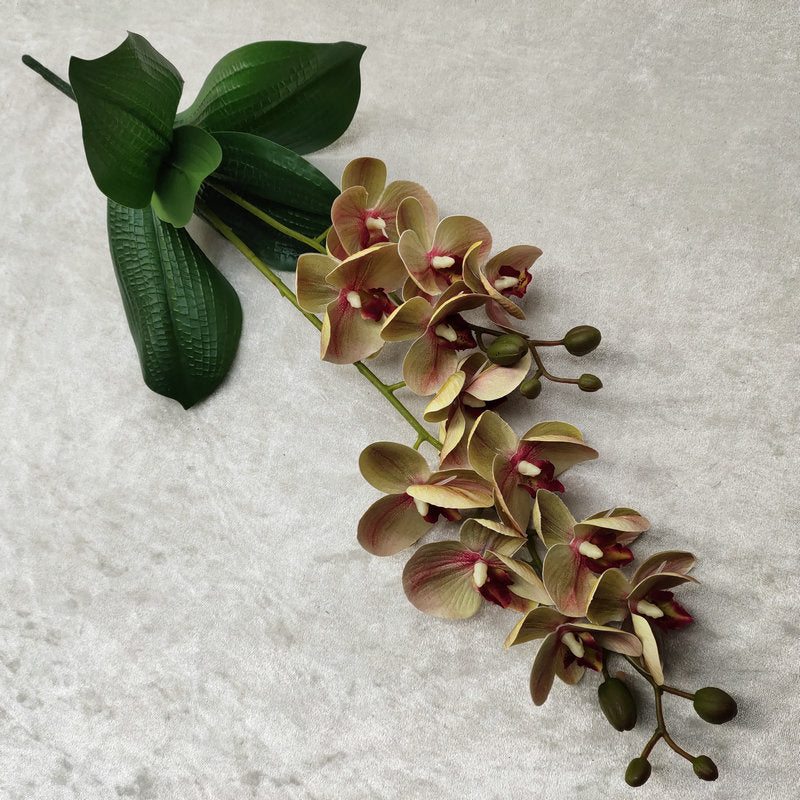 O0016 3D printed double-forked twelve-headed Phalaenopsis with leaves