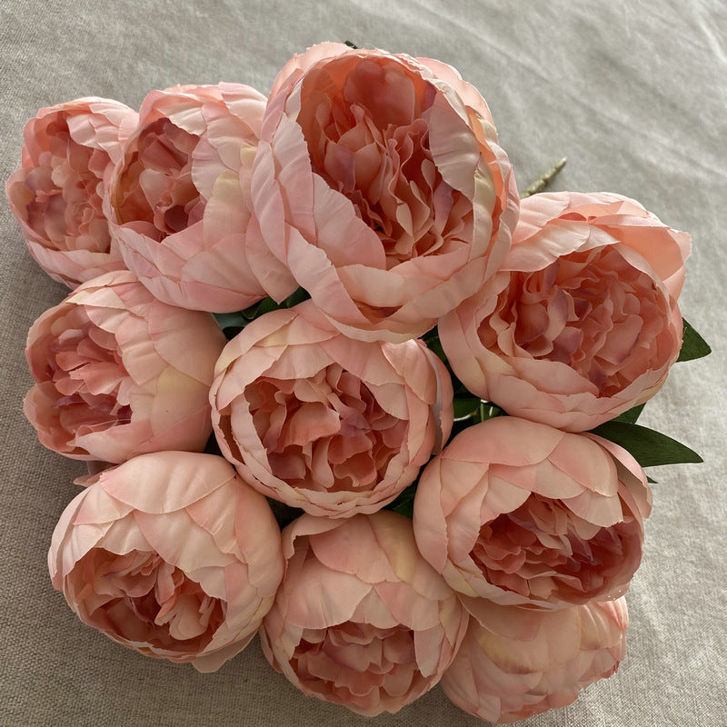 P0025 Ten round peonies