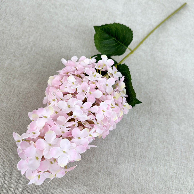 H0032 Hydrangea