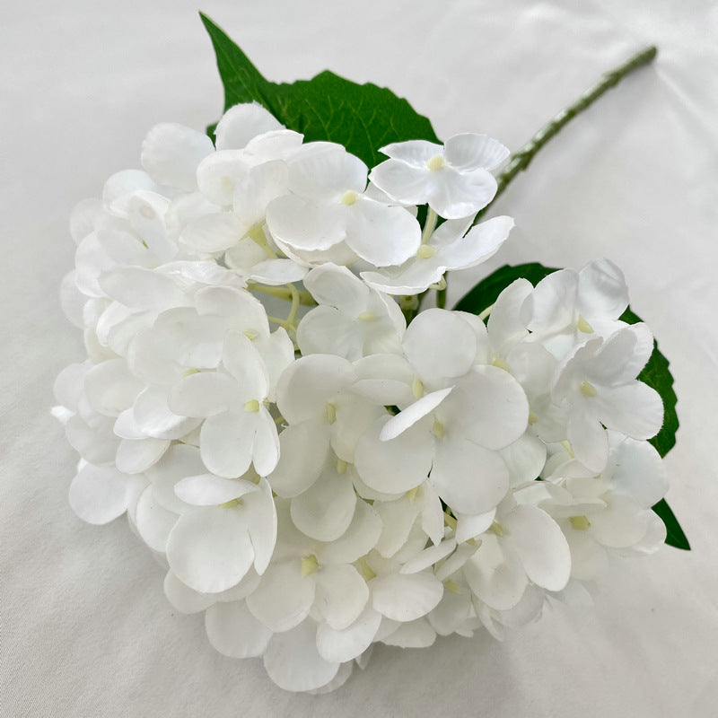 H0021 Hydrangea