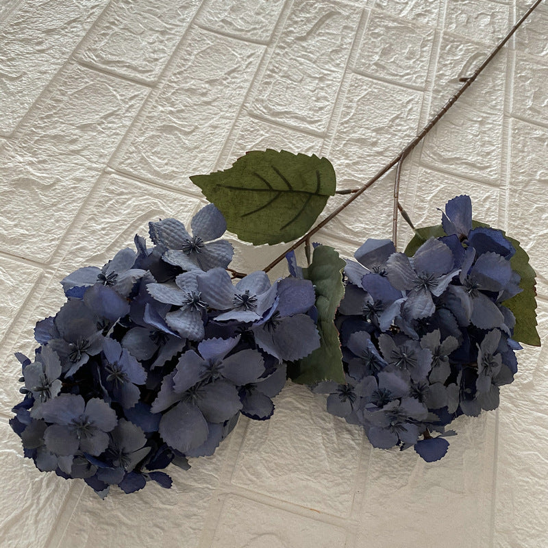 H0030 Hydrangea