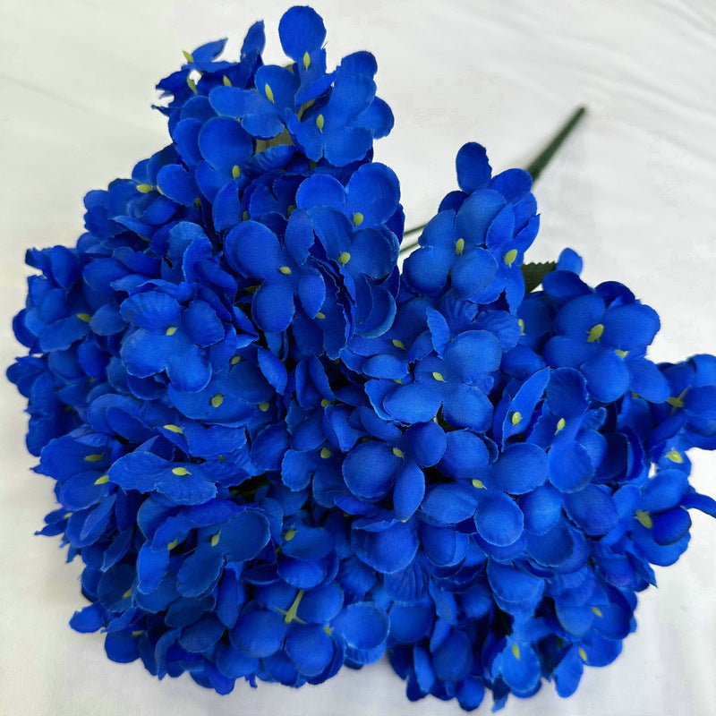 H0020 Hydrangea