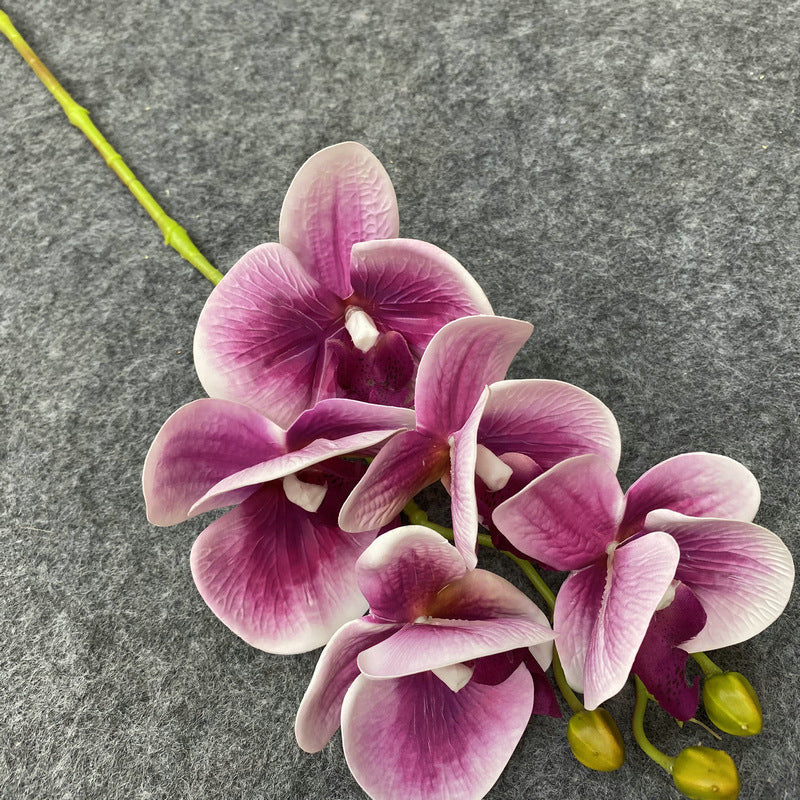 O0004 3D printed 5-head Phalaenopsis