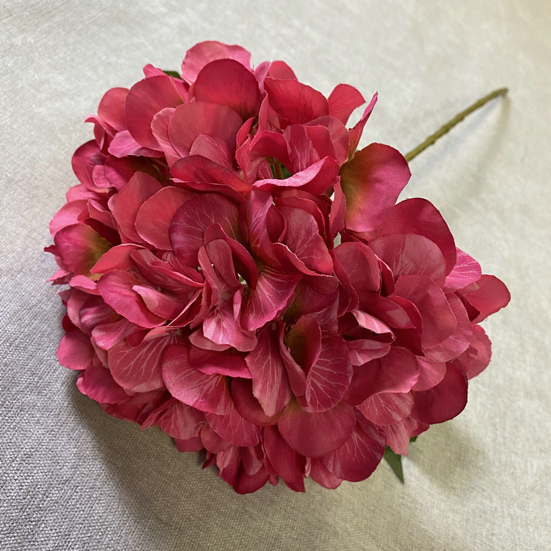 H0016 Hydrangea