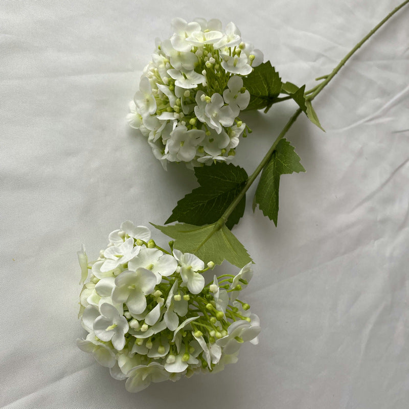 H0017 Hydrangea