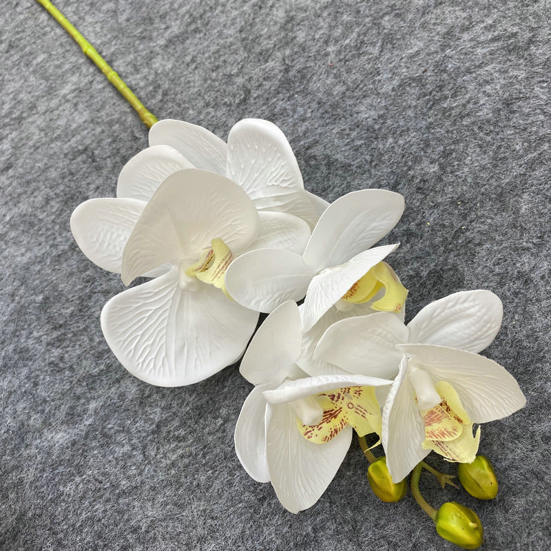 O0004 3D printed 5-head Phalaenopsis