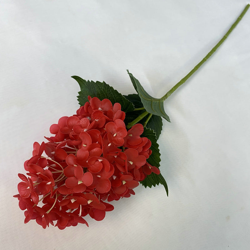 H0042 Hydrangea