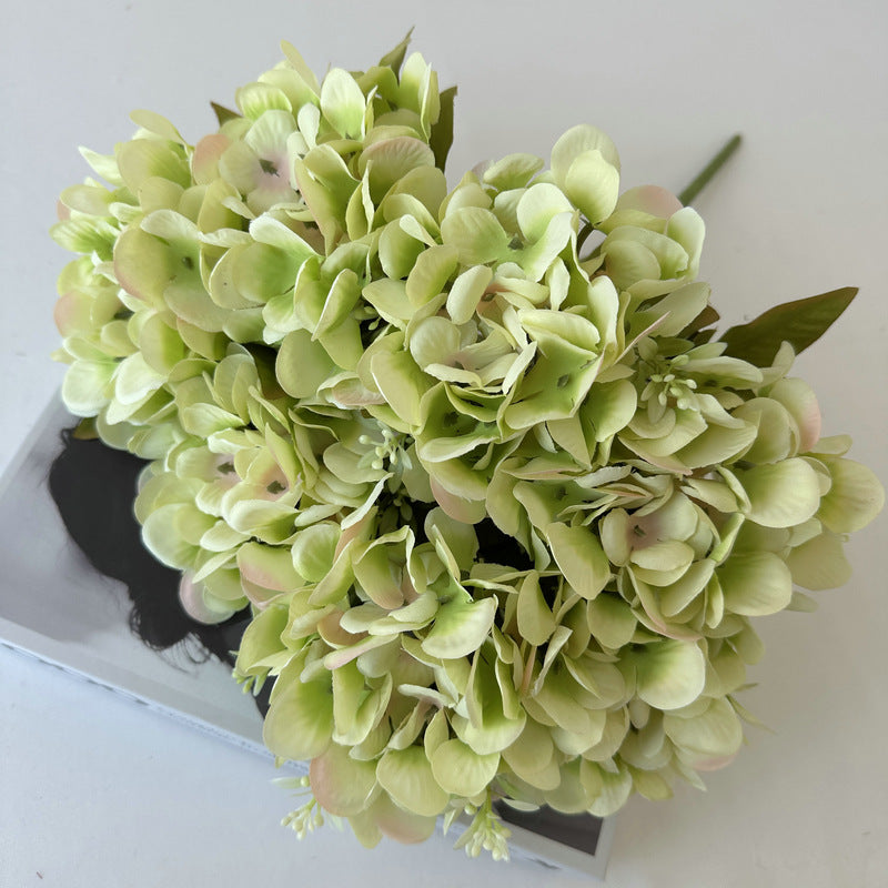 H0004 Hydrangea