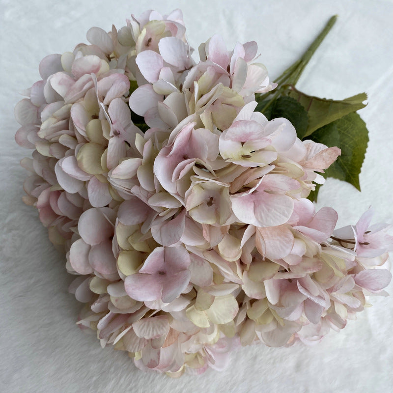 H0025 Hydrangea